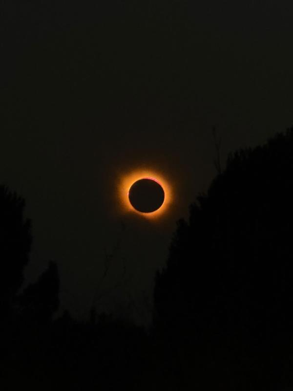 Total solar eclipse with an orange corona above silhouetted trees
